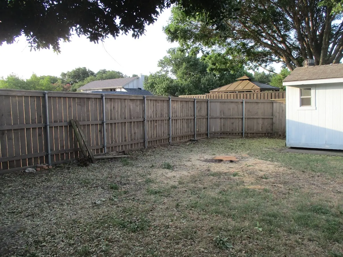 Cleared yard after professional tree removal in Dustin